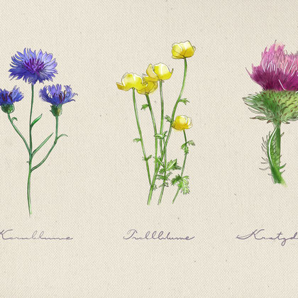Illustration München Schlumberger