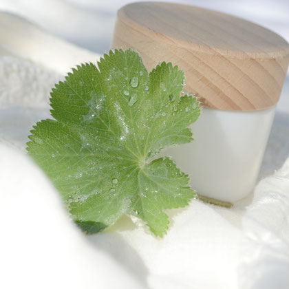 Sonnenbaum Naturkosmetik