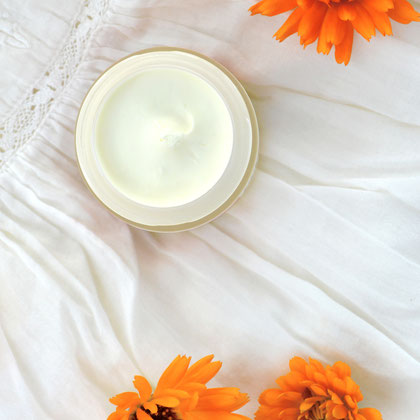 Calendula