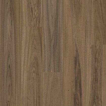 Peruvia (50 LVRE 3084)