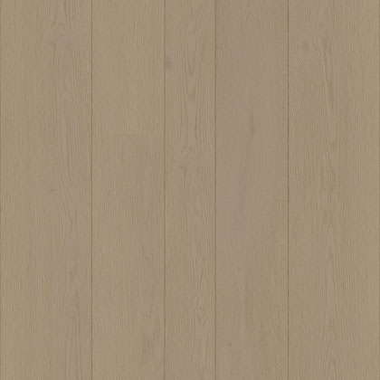 Fern (50 LVREM 3273)