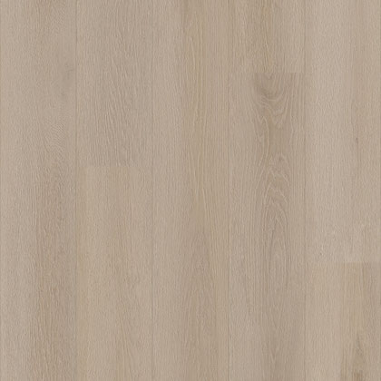Pampas (50 LVRE 2955)