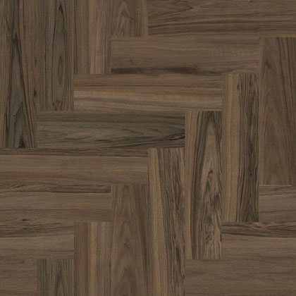 Juglans (50 LVRE 3088)