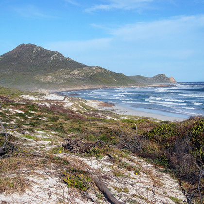 Looking south across Maclear Beach to the Cape of Good Hope