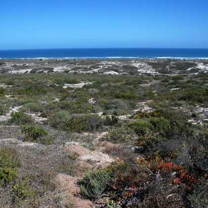 Looking out from the lookout point to 16 mile beach