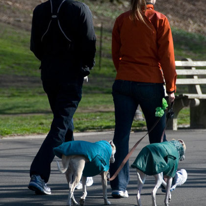 Two Dogs and Coats, Riverside Park