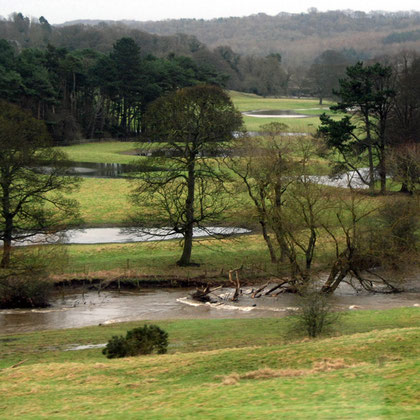 Swollen river and parkland