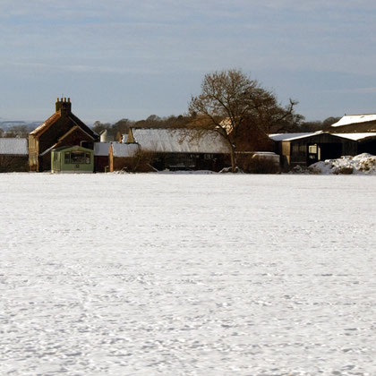 Farm Vale of York