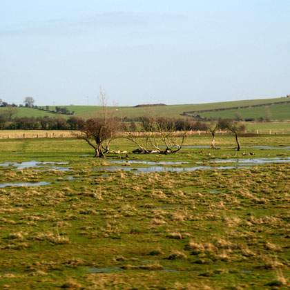 Wet bottomland, Northumberland