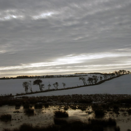 The marsh lands near Holy Island