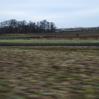 The sprout and cabbage fields of the rich River Tyne plain between Dunbar and Edinburgh, East Lothian