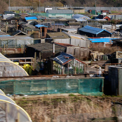 Allotments, Newcastle