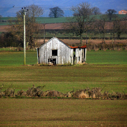 Old wooden barn in Vale of York