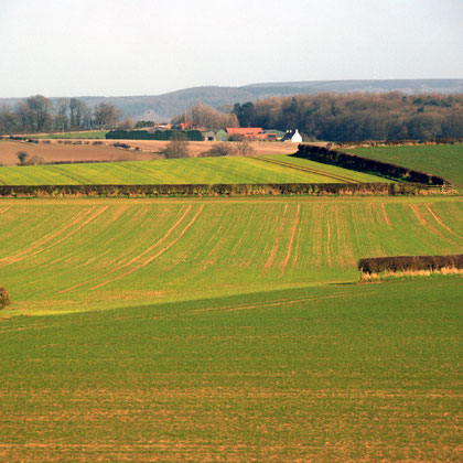 Vale of York and North York Moors