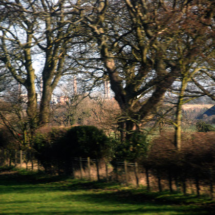 Lynmouth chimneys through the trees