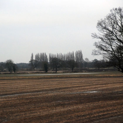 Waterlogged fields and Lombardy poplars between York and Doncaster