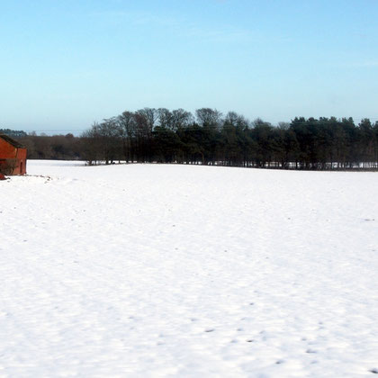 Red brick barn, white field, Northumberland