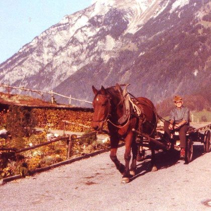 Samuel Jenny-Ganahl, Trogsite, mit seinem Pferd