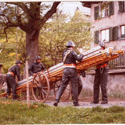 Rettungsdienst mit der Strebenleiter beim Löwen