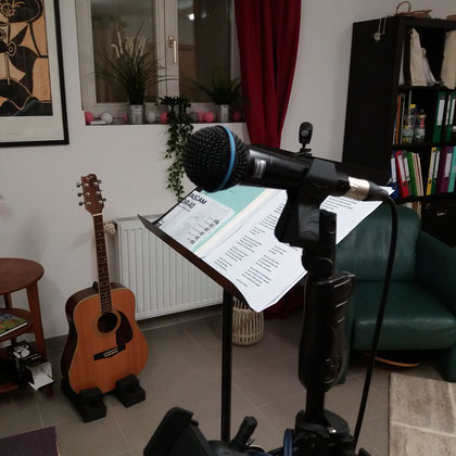 Mein Mikrofon "Shure Beta 58A"