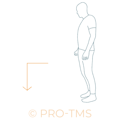 renforcement concentrique des quadriceps (fente)