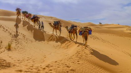 Matthias Gößmann - Wüste, Sahara,  Tunesien