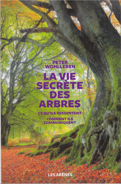 Pour qui aime la nature, la forêt, une lecture enrichissante, des informations insoupçonnées ! Forêt d'Oloron dans les Pyrénées à protéger