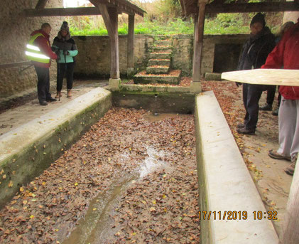 il n'y avait pas beaucoup d'eau, seulement des feuilles 