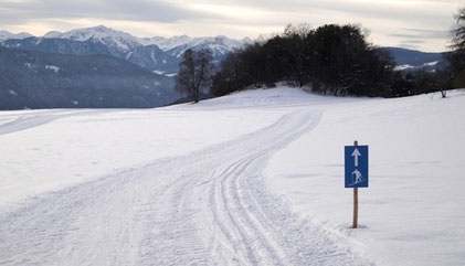 Sektion Ski-Langlauf