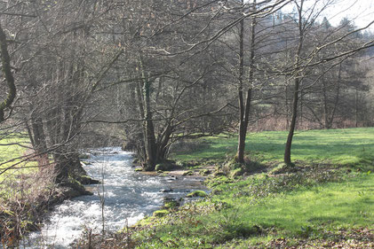 Albtal bei Marxzell (G. Franke, 26.03.2017)