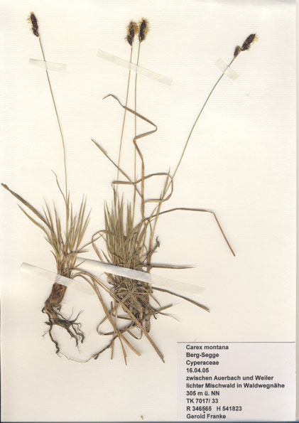 (Foto: G. Franke, 2005)