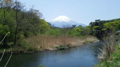 雄大な富士と桂川