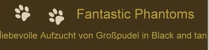 Zuchtstätte des Deckrüden " Fantastic Phantoms RockStar Amadeus " vom D-Wurf