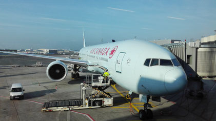 Hier sehen Sie in die Sitzpläne diverser Airlines ein