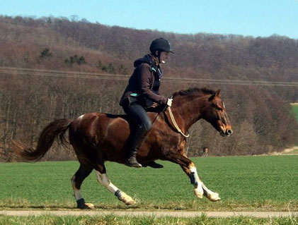 Reiterin mit mentaler Stärke