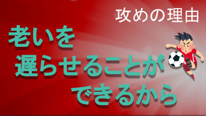 コージースタイル 横須賀 横浜 逗子 葉山 三浦 片づけサポートサービス 片づけ代行サービス シニアの片づけ シニアの暮らし 生き活プロジェクト