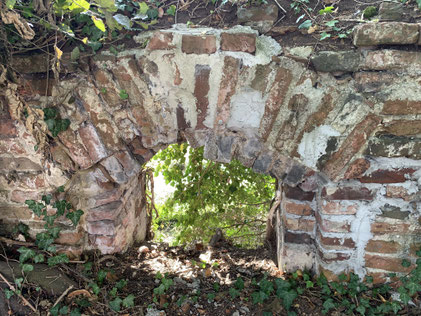 Auf der Stadtmauer