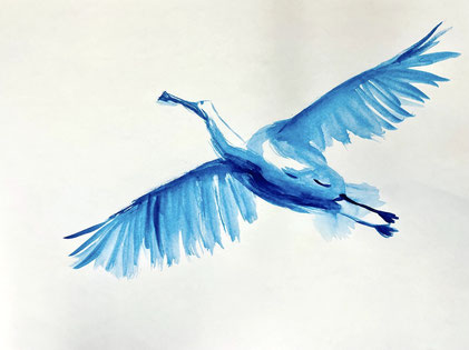 Vogel Löffler blaue Tusche auf Papier A3