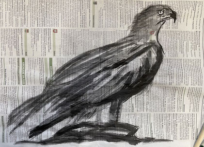 Vogel Schwarzmilan schwarze Tusche auf Papier