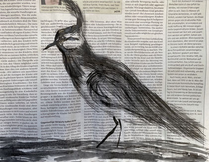 Vogel Kiebitz schwarz Tusche auf Zeitungspapier