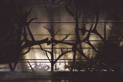 DIE SCHÖPFUNG / Staatstheater Wiesbaden / Juni 2025