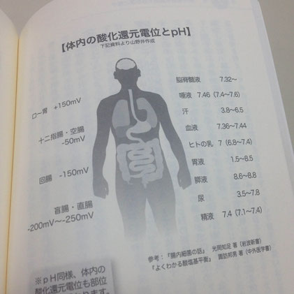 体内の酸化還元電位