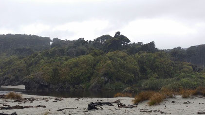 Regenwald trifft auf Tasmanische See
