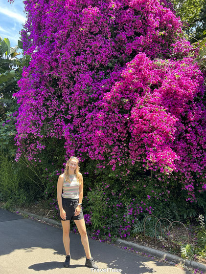 Botanische tuin Melbourne