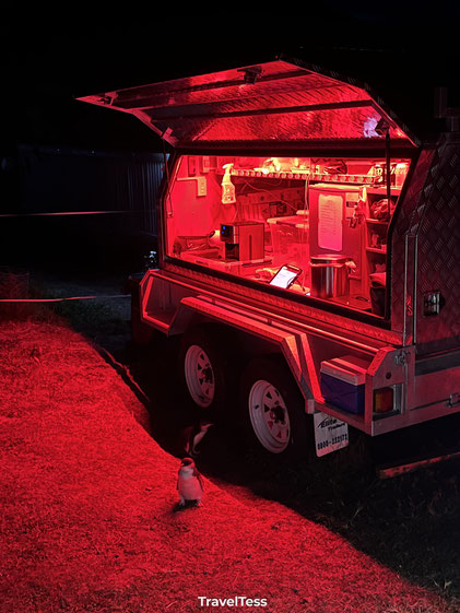 Pinguins foodtruck