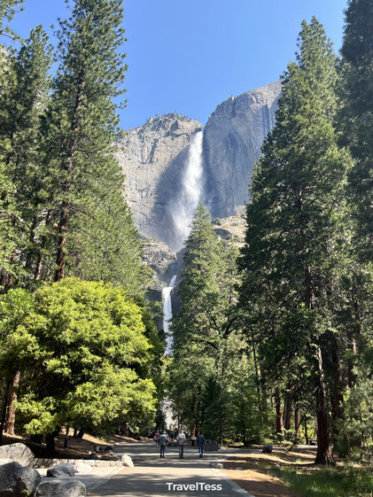 Lower Yosemite Falls