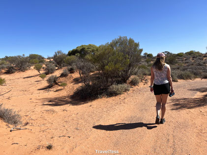Arid Botanical Gardens