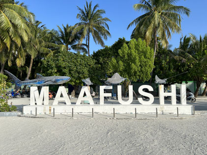 Maafushi bord
