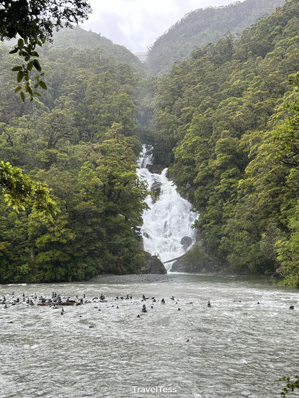 Fantaill Falls