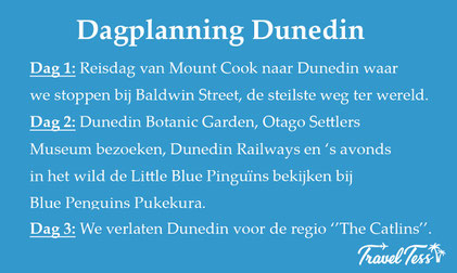 Dagplanning Dunedin